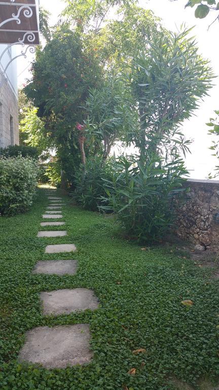 אפרטהוטל ספצס Economou Mansion מראה חיצוני תמונה